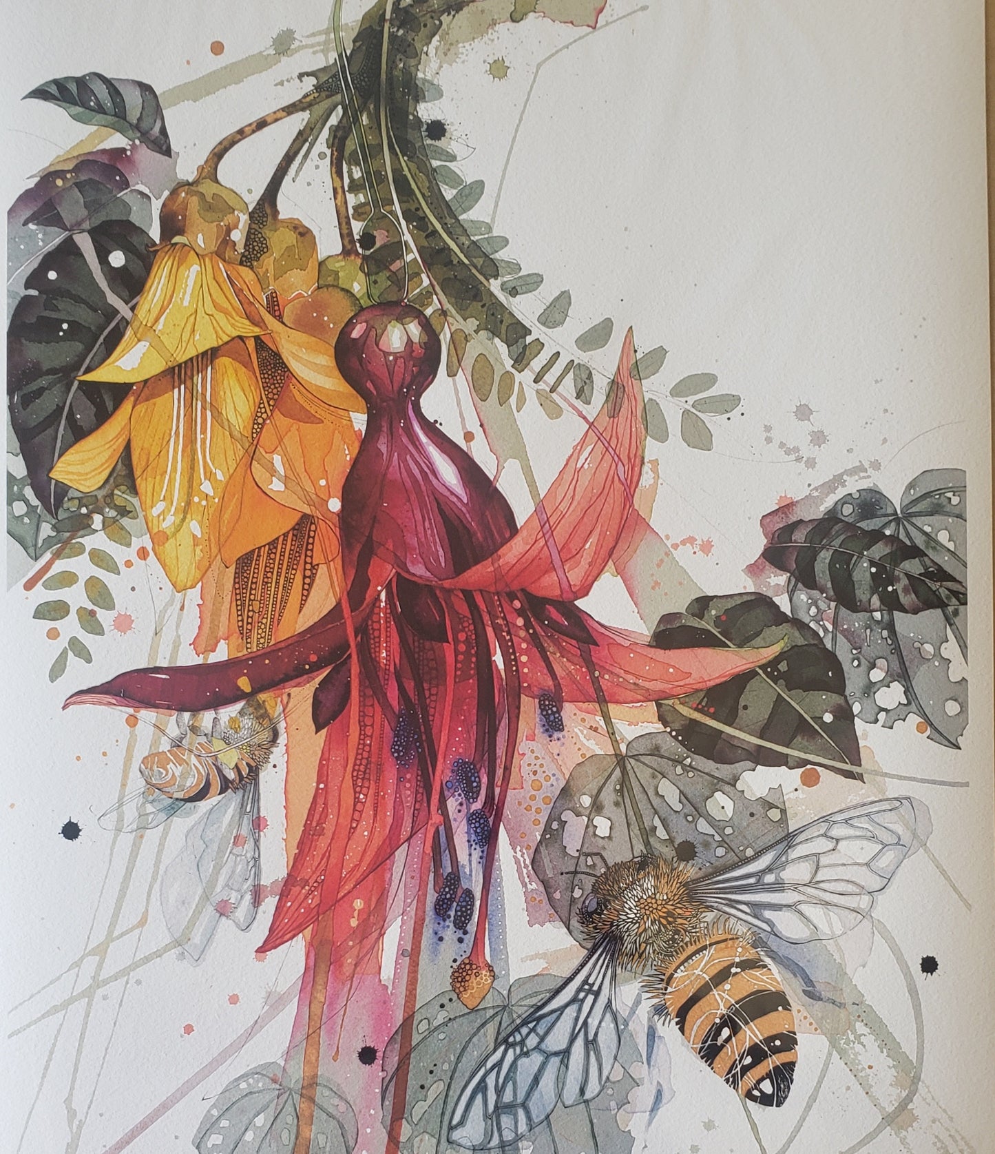 Fuchsia Kowhai and Bee