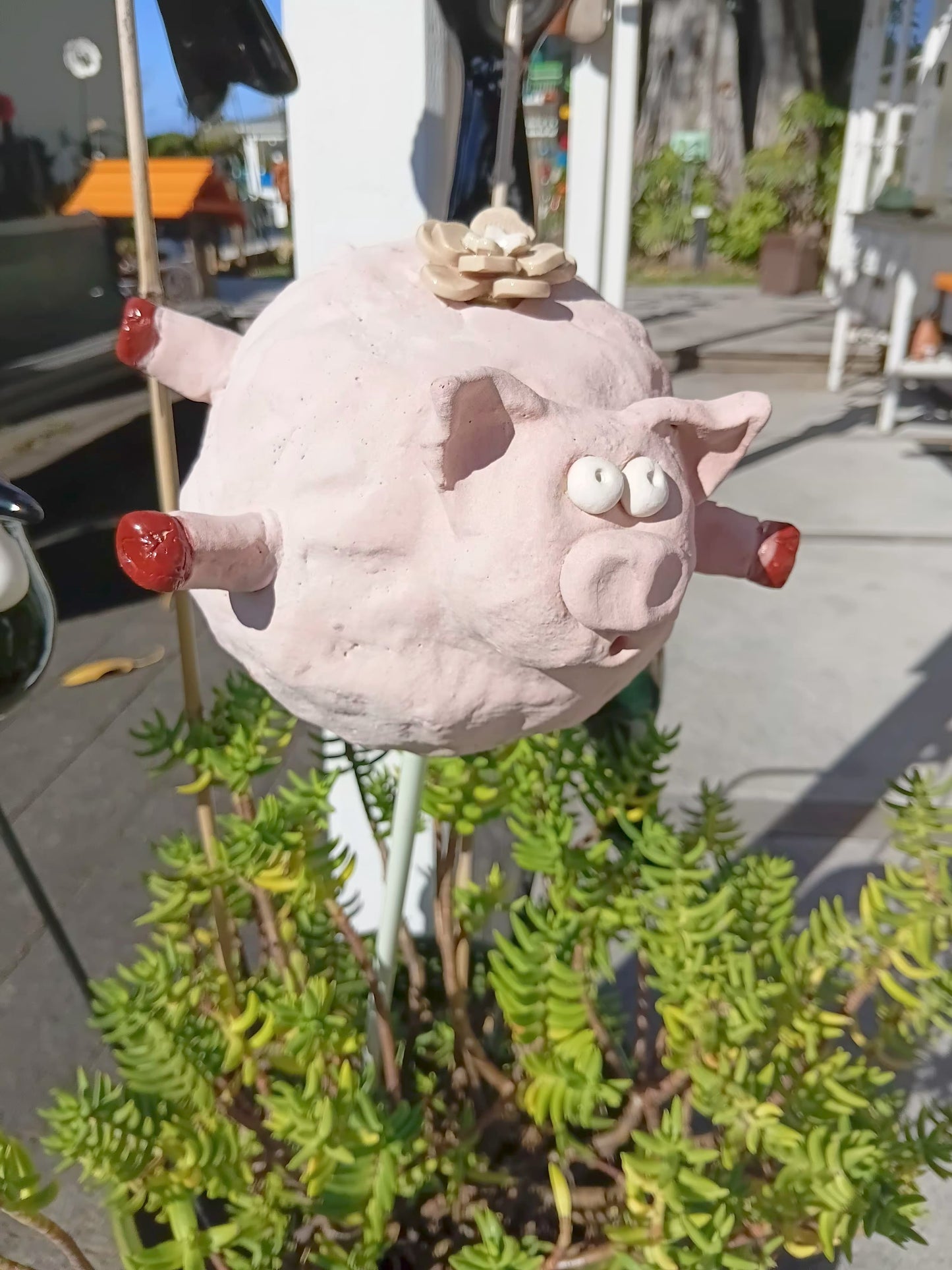 Flying Pigs