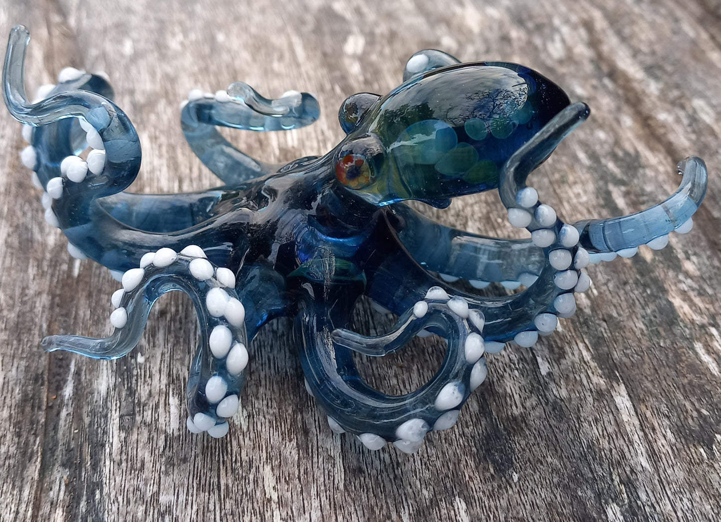 Lizzy Octopus