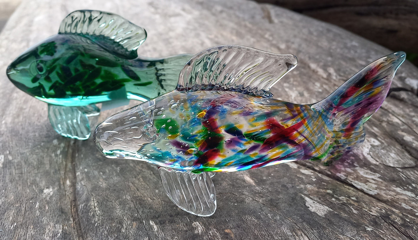 Glass Fish