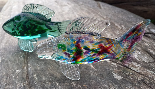 Glass Fish