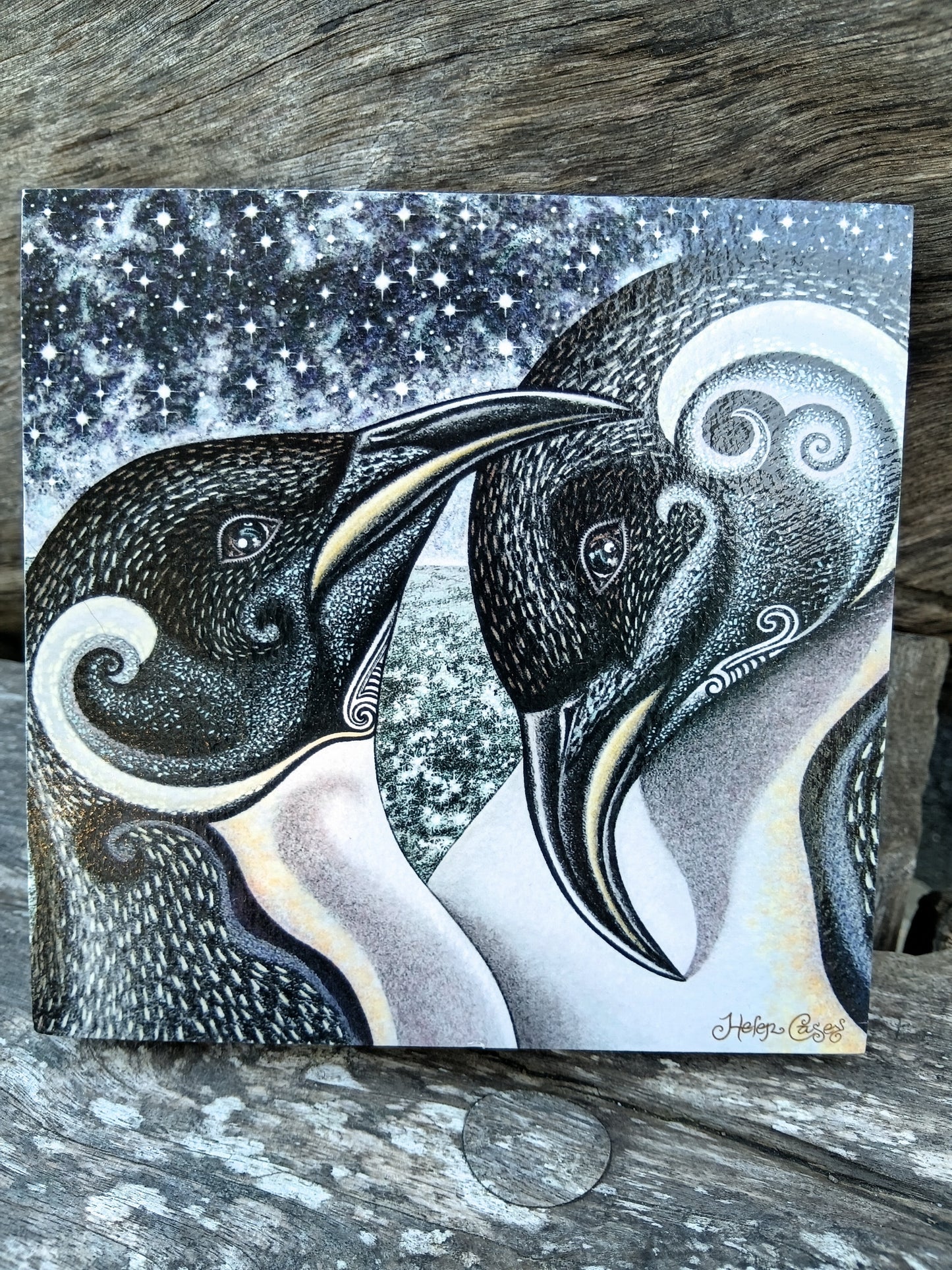 Antaractic Soulmates