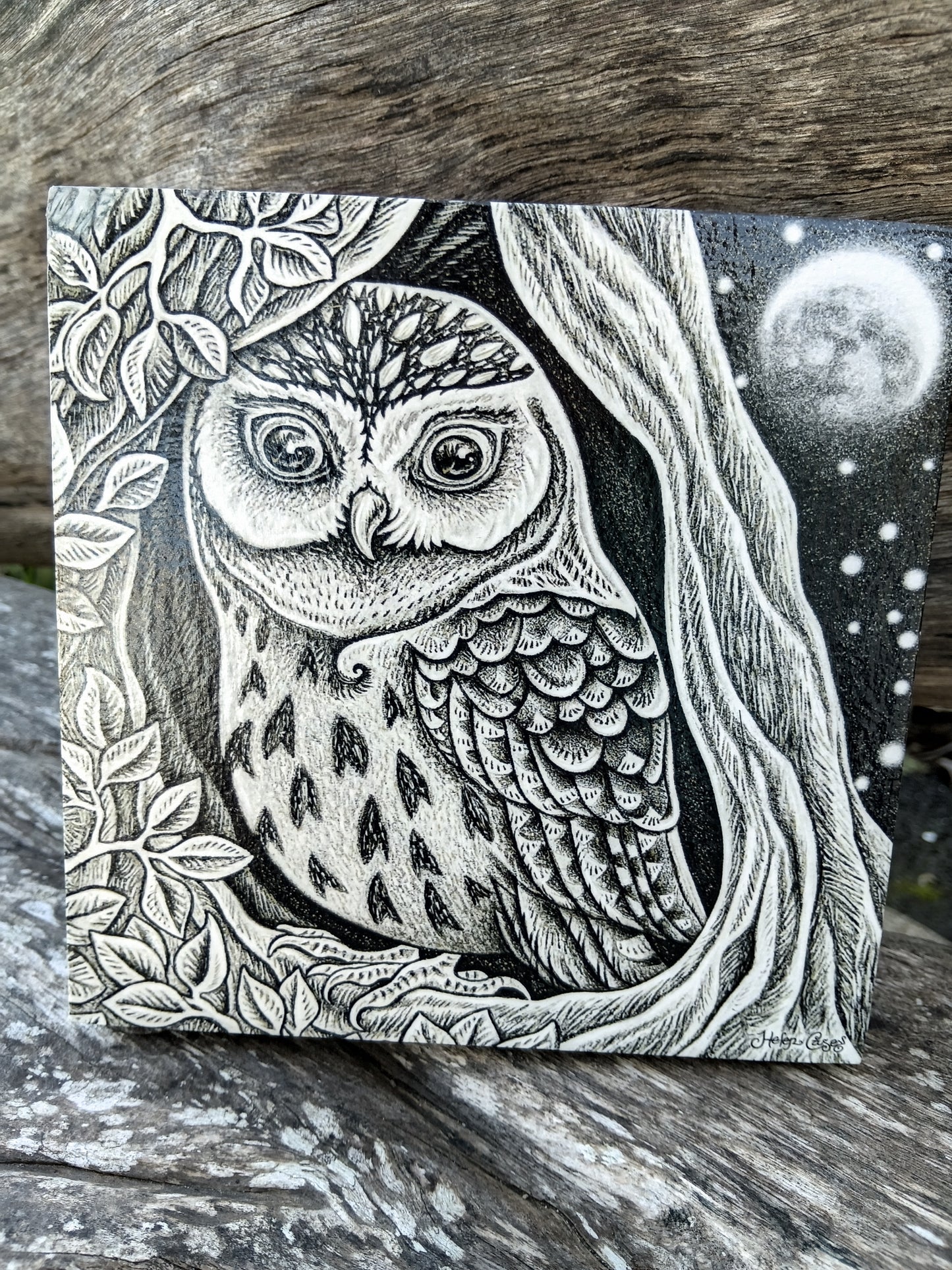 Little Moonlight Owl