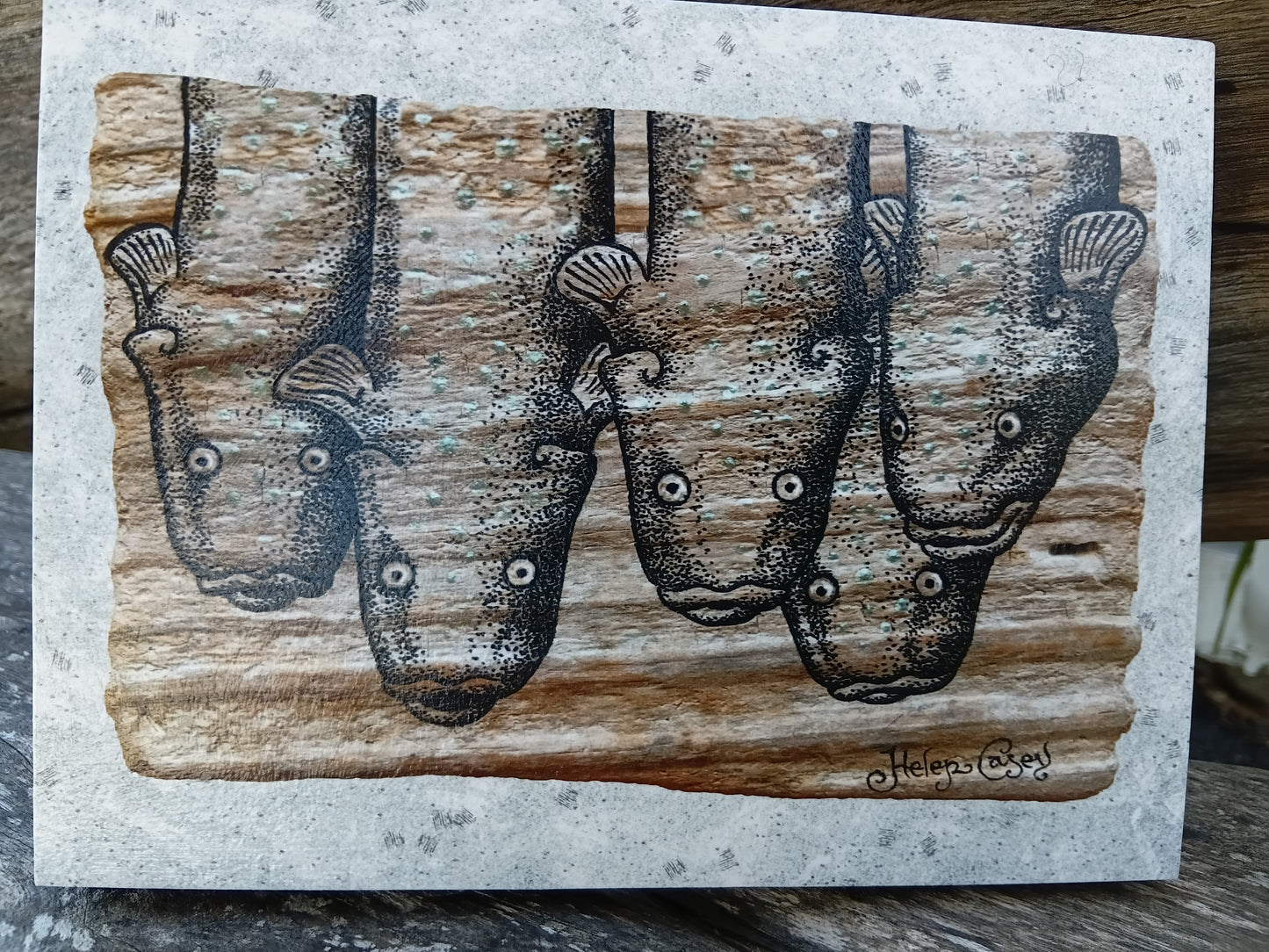 Elvers
