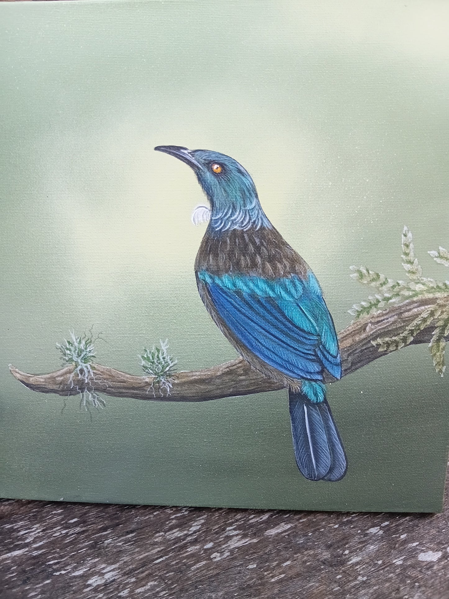 Tui Morning Arcylic original