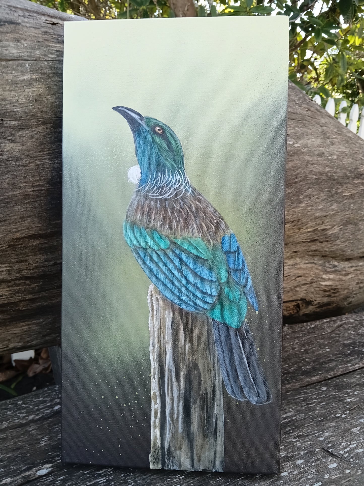 Tui Peace Acrylic original