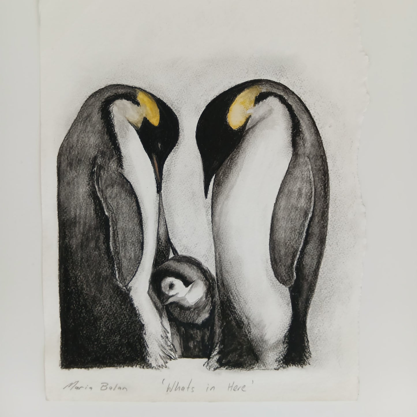 Charcoal Drawing Whats in here