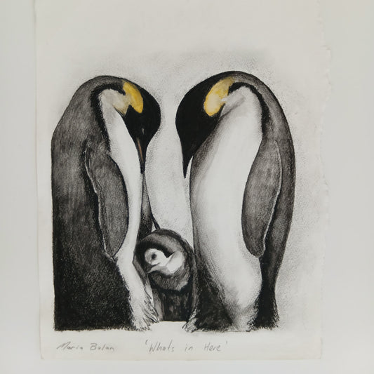 Charcoal Drawing Whats in here