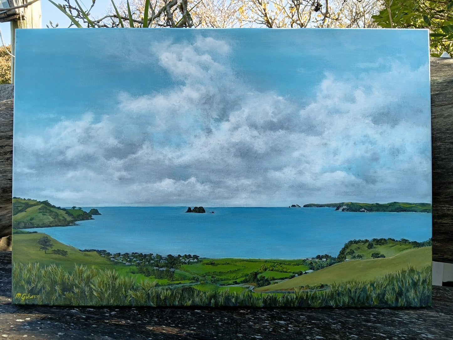 Wharekaho Vista  Acrylic