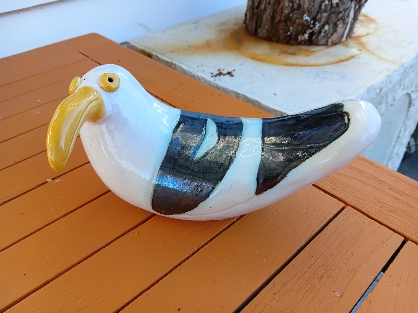Long Beak Seagull