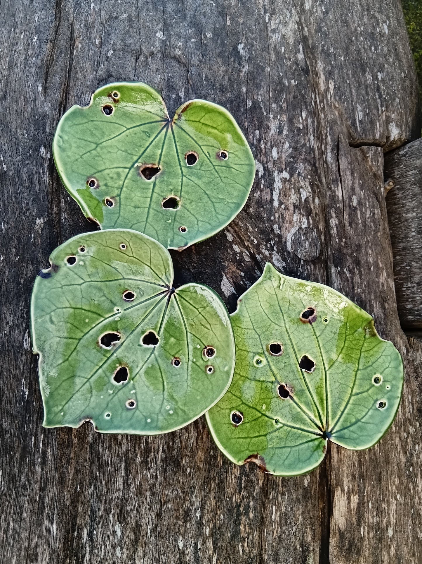 Ceramic Soap dish Kawakawa