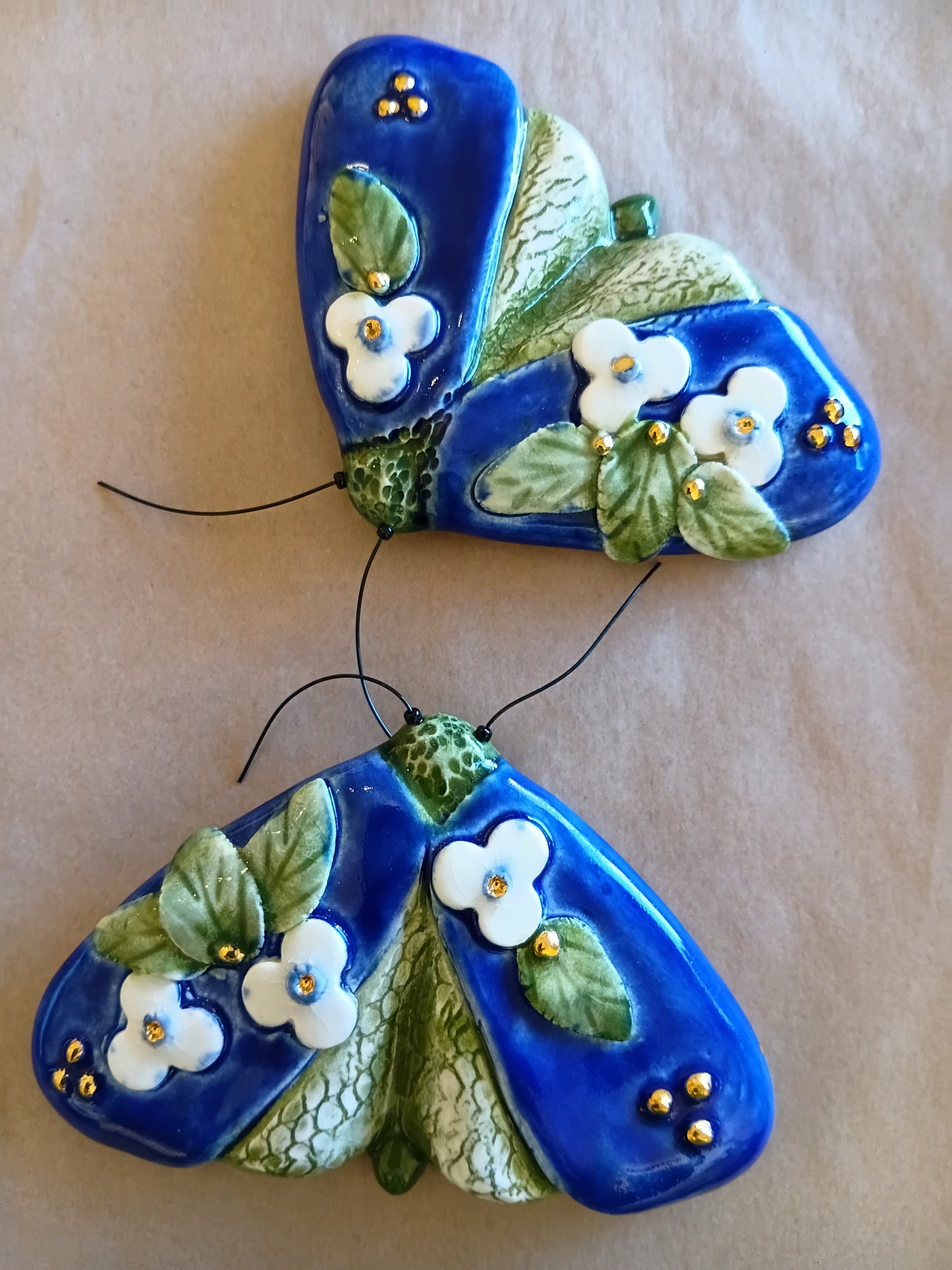 Dark Blue Moth with gold