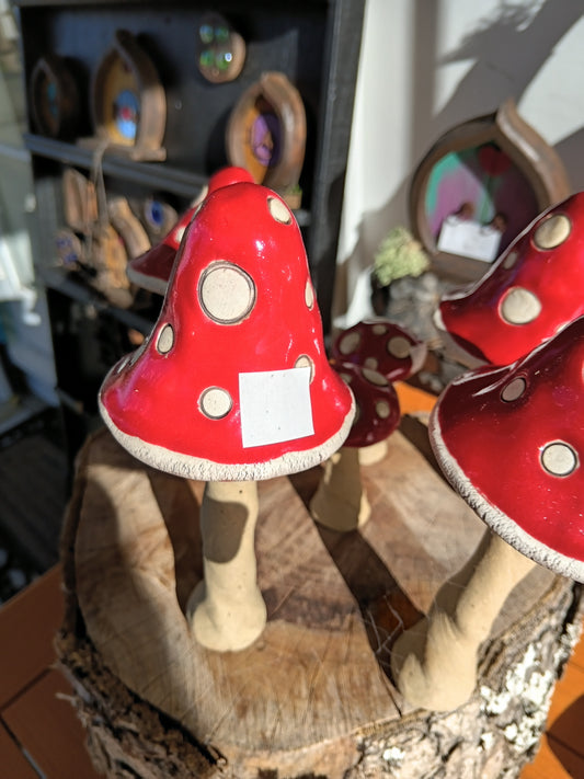 Twisted Toadstool large