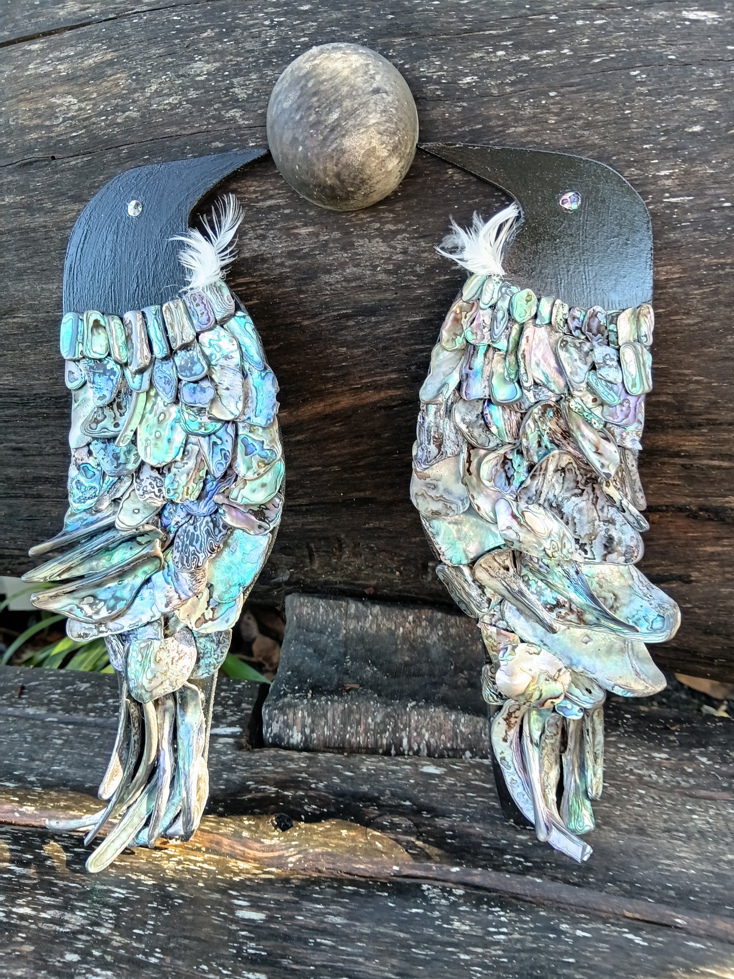 Paua shell Tuis