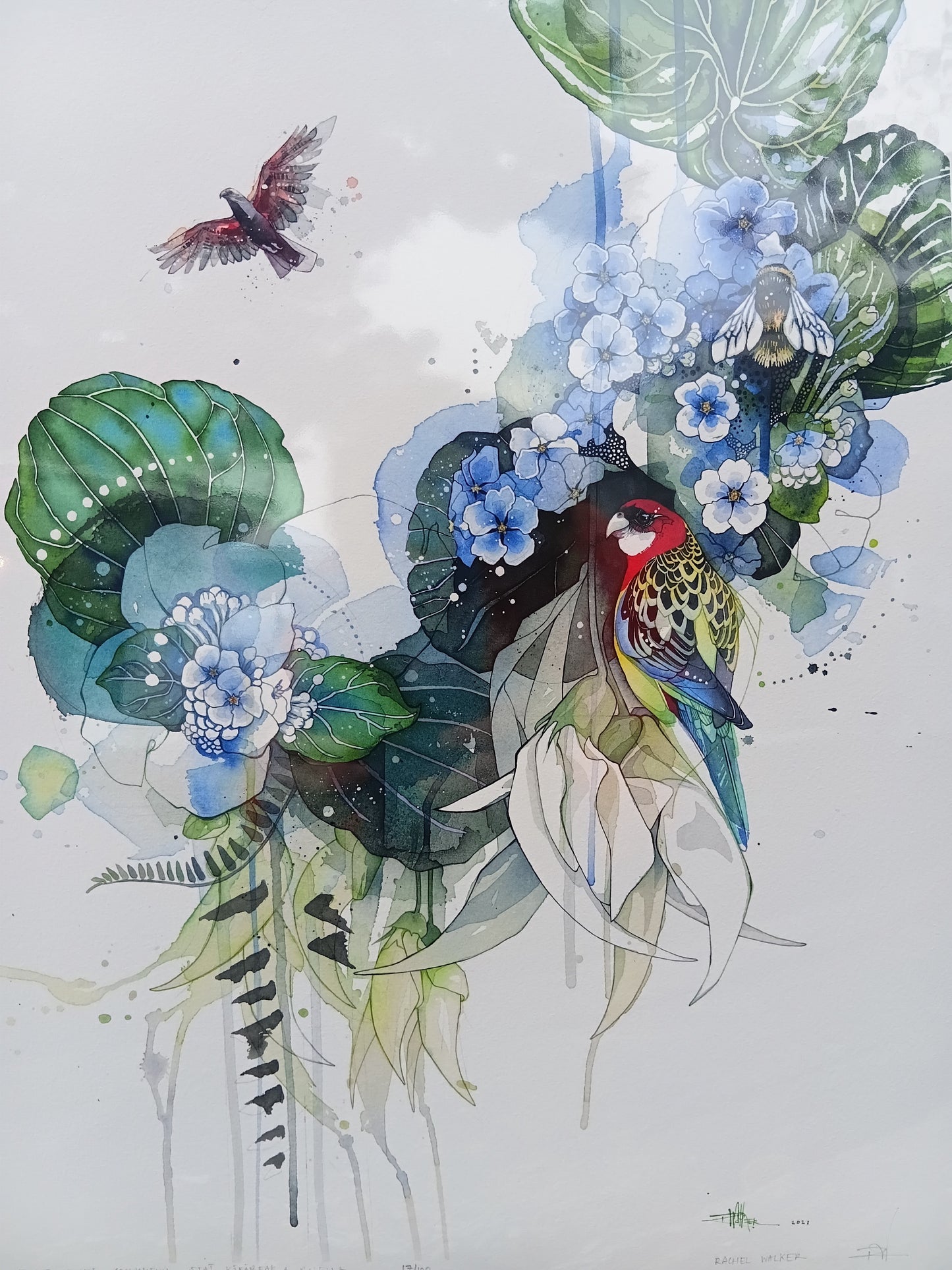 Forget Me Not