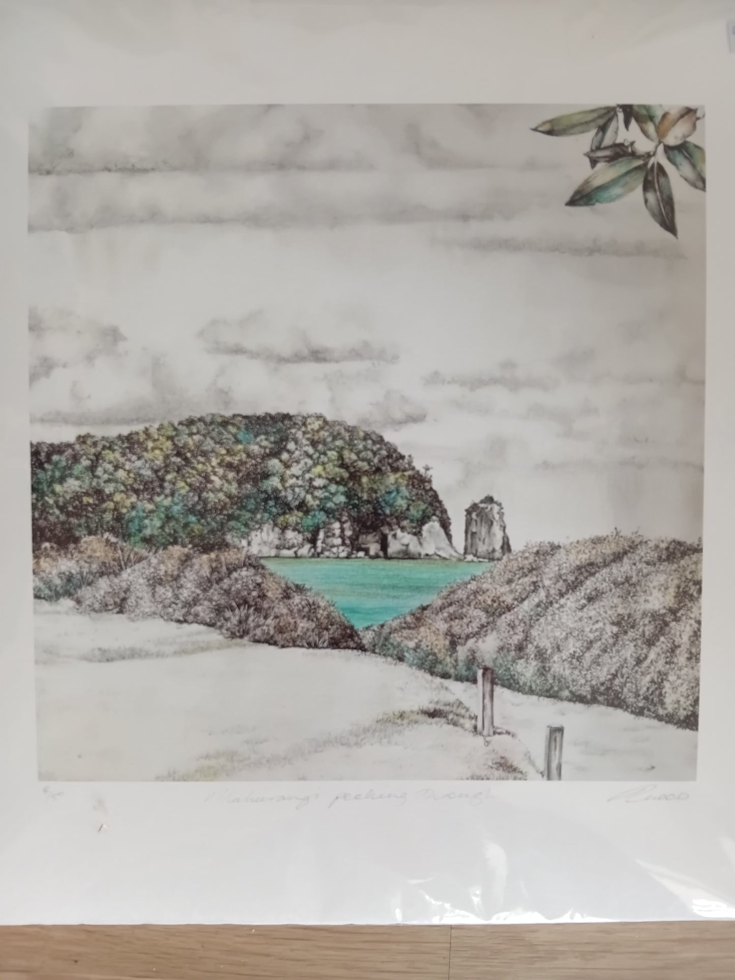 Mahurangi - Large