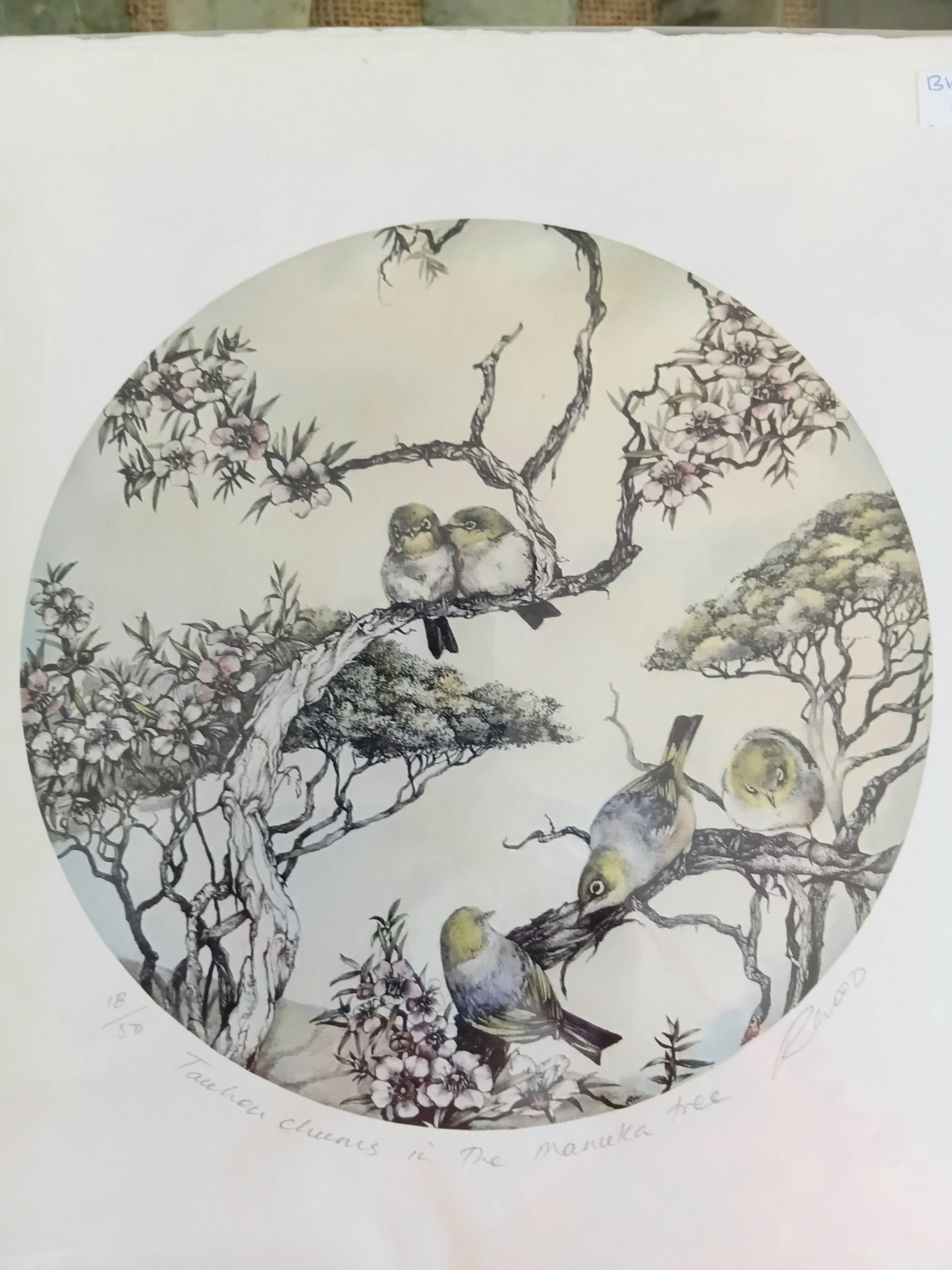 Tauhou chums in the Manuka tree 18/50