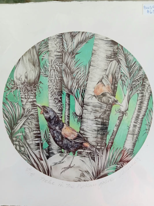 Tieke in The Nikau grove limited edition