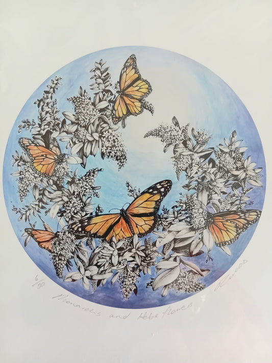 Monarchs and Hebe