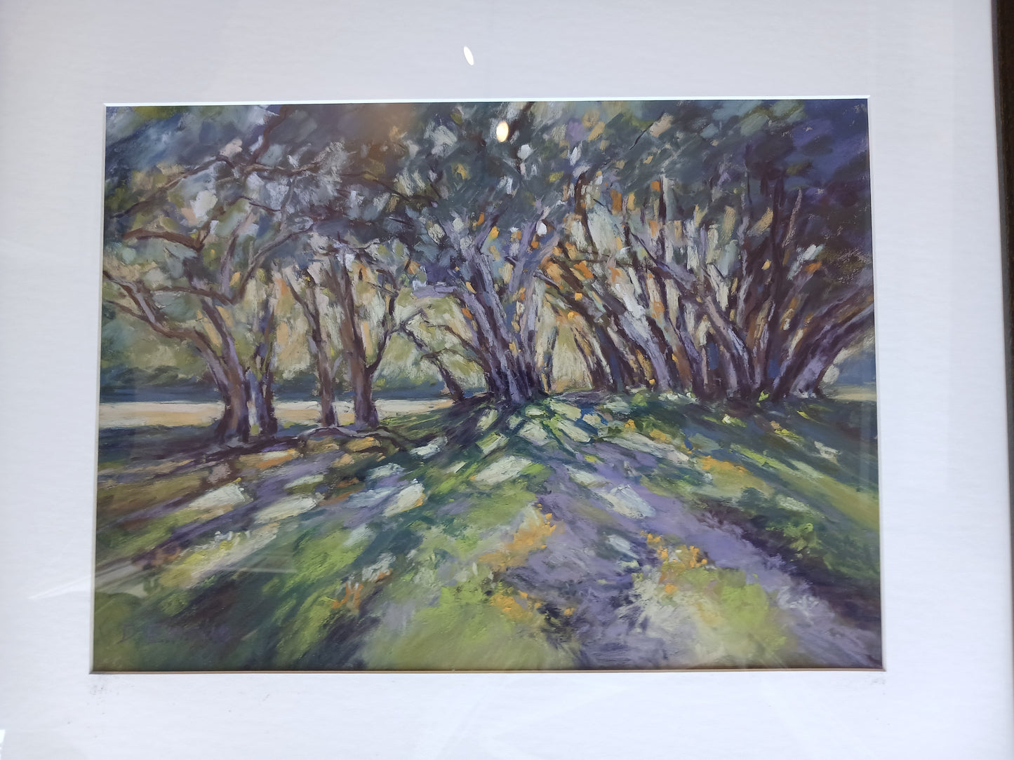 Framed  Pastel-Grest Mercury Island -Pohutukawa Shadows