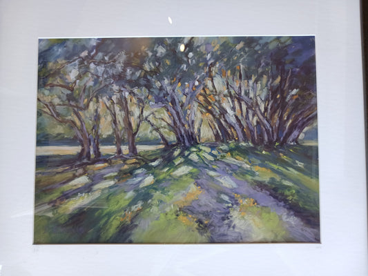 Framed  Pastel-Great Mercury Island -Pohutukawa Shadows