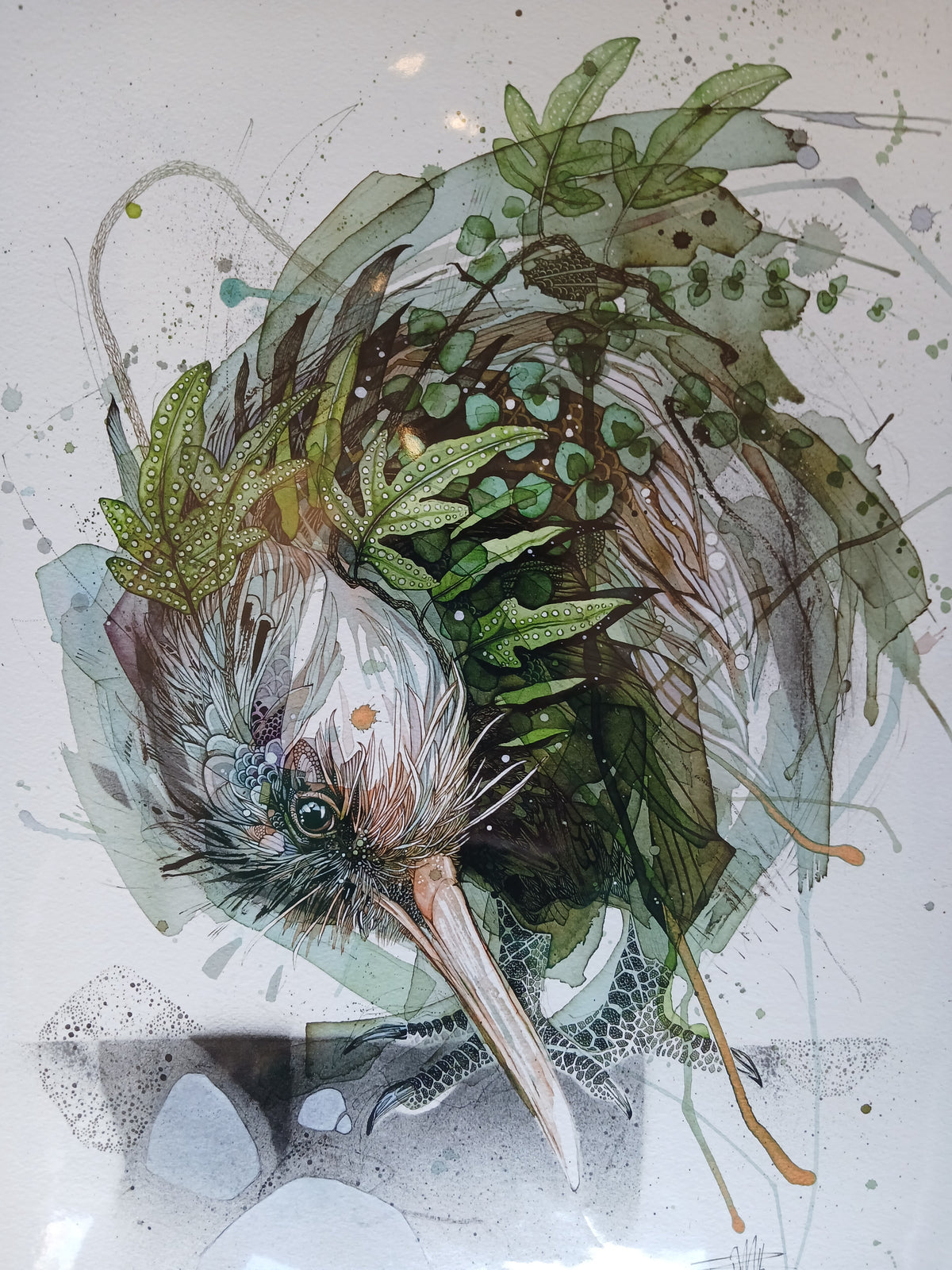 Messy Kiwi