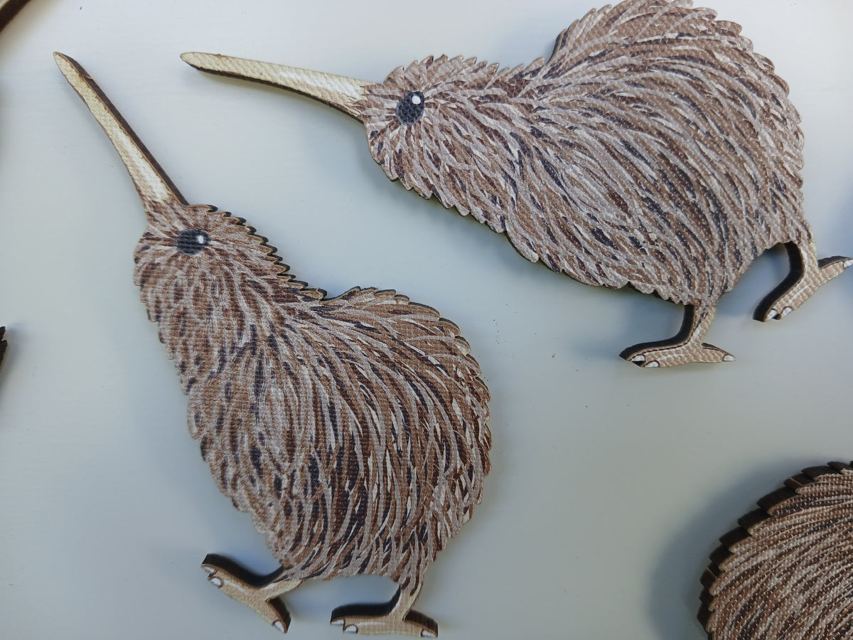 Kiwi Magnet