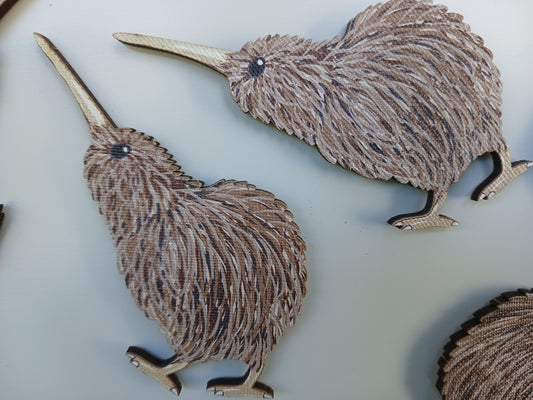 Kiwi Magnet