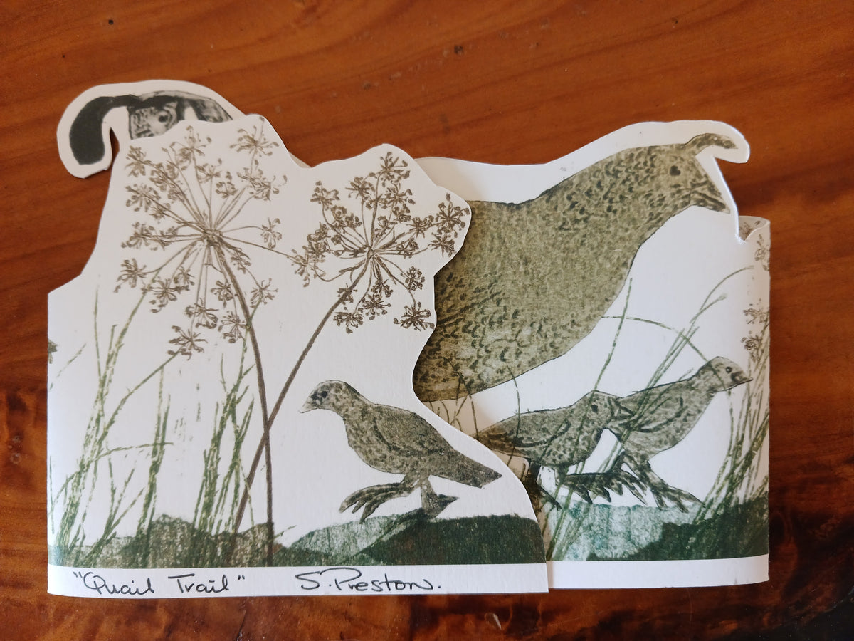 Quail Cards