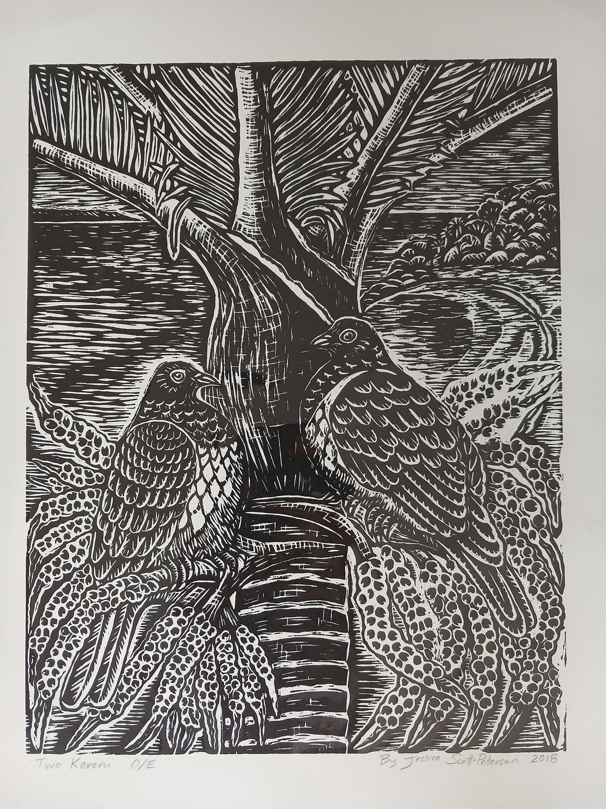 Two Kereru   Open Edition