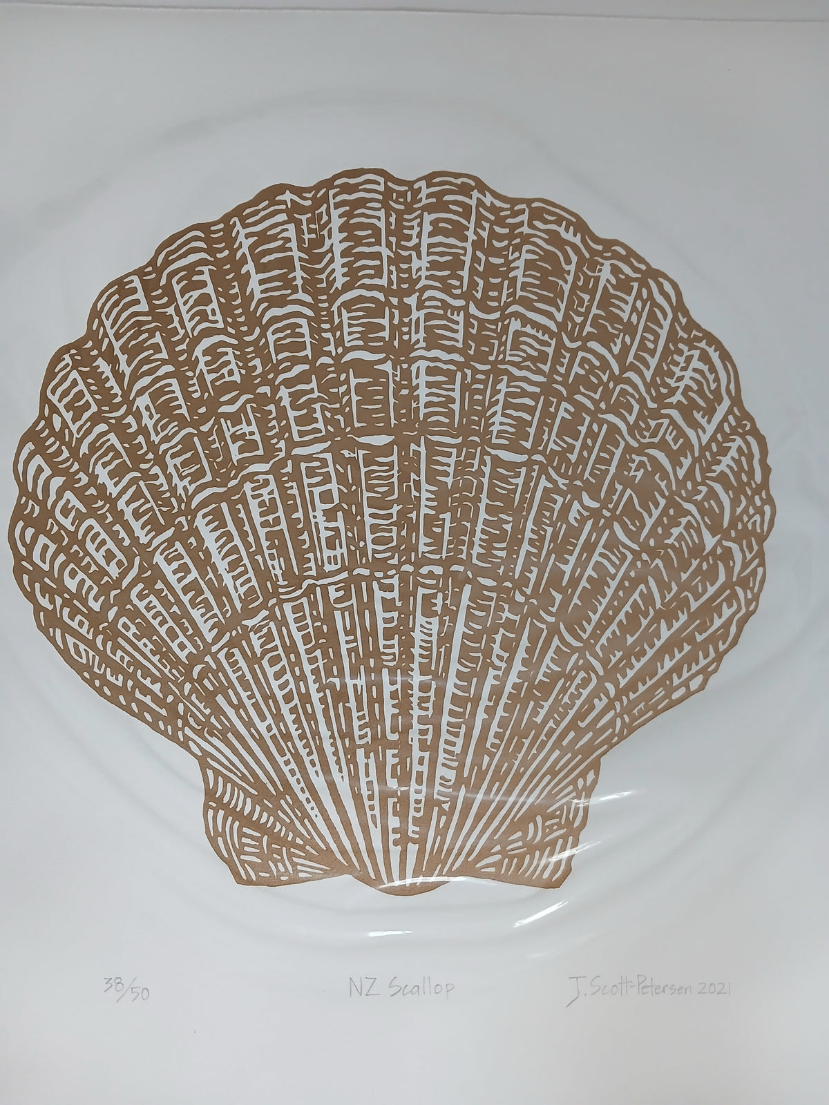 NZ Scallop-Gold Limited Edition 38/50