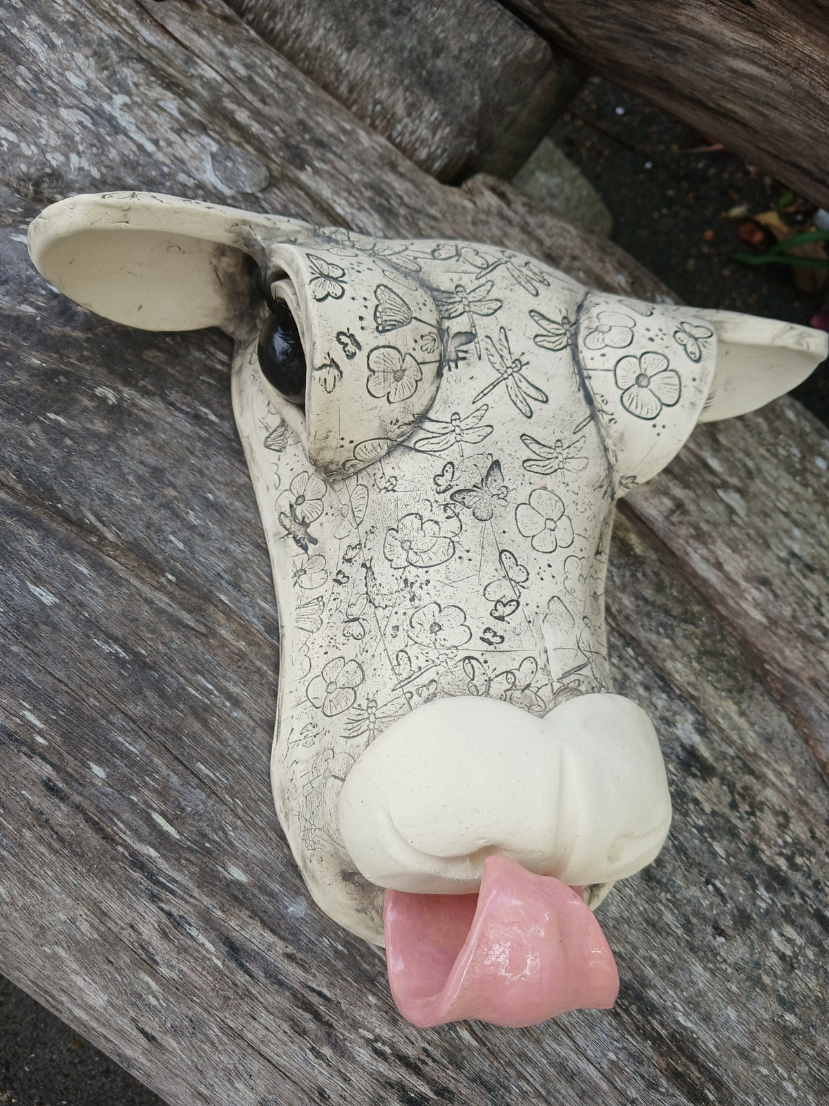 Winter The Cow