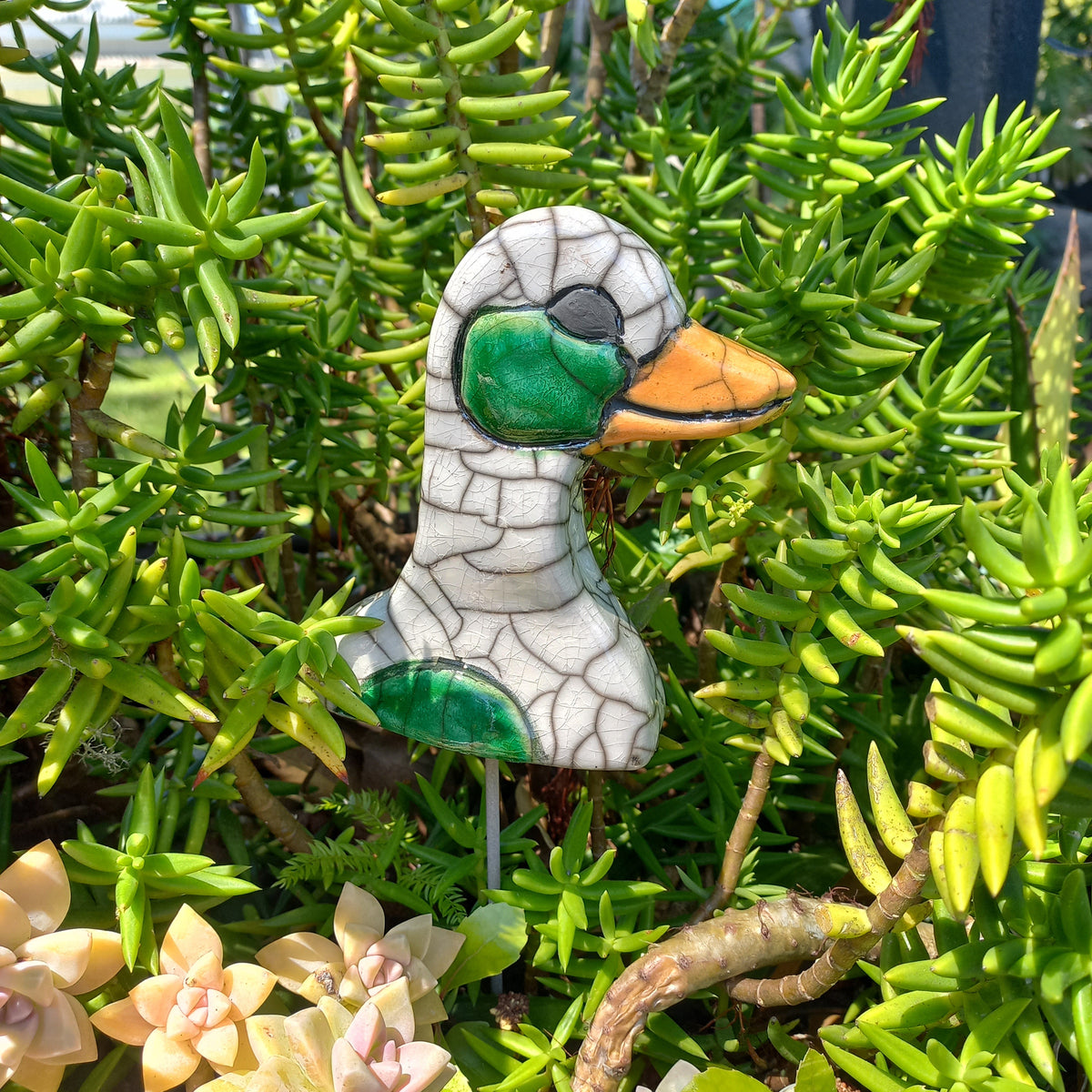 Duck Head