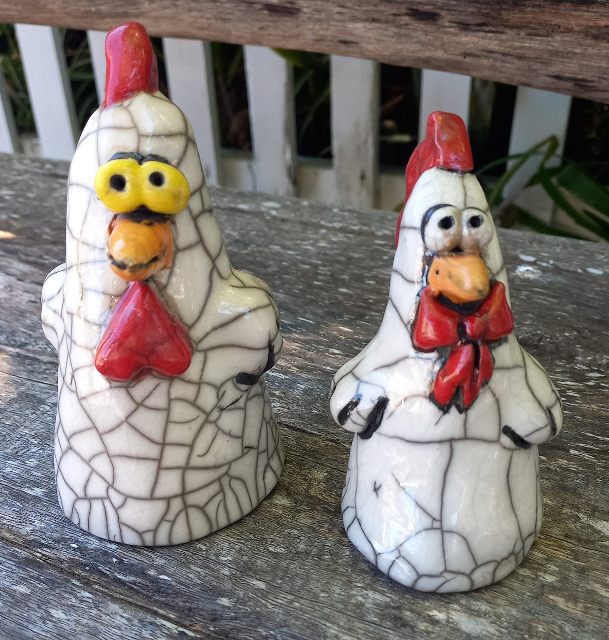 Medium Chook