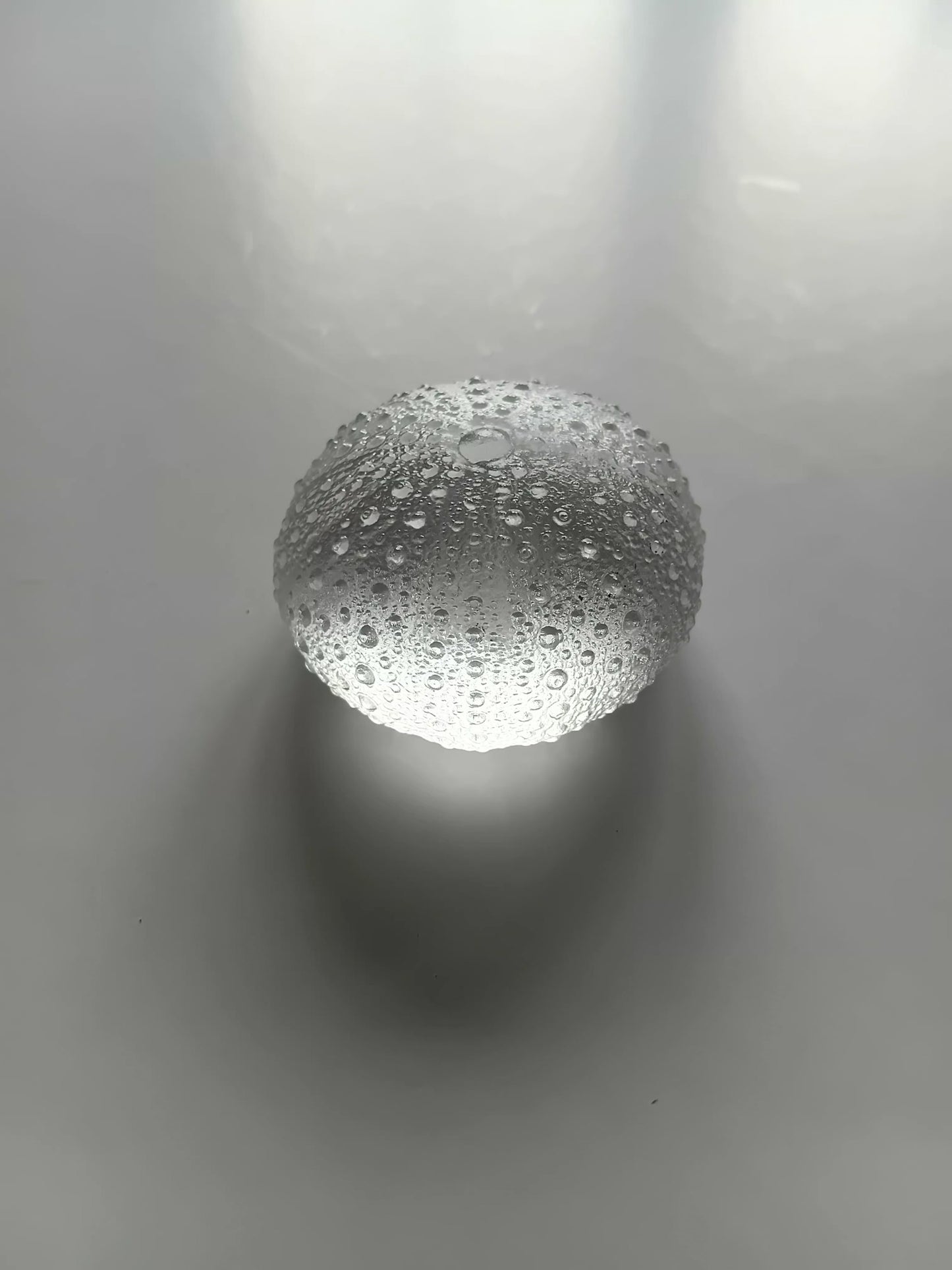 Large Glass Urchin -Clear/White 52mm