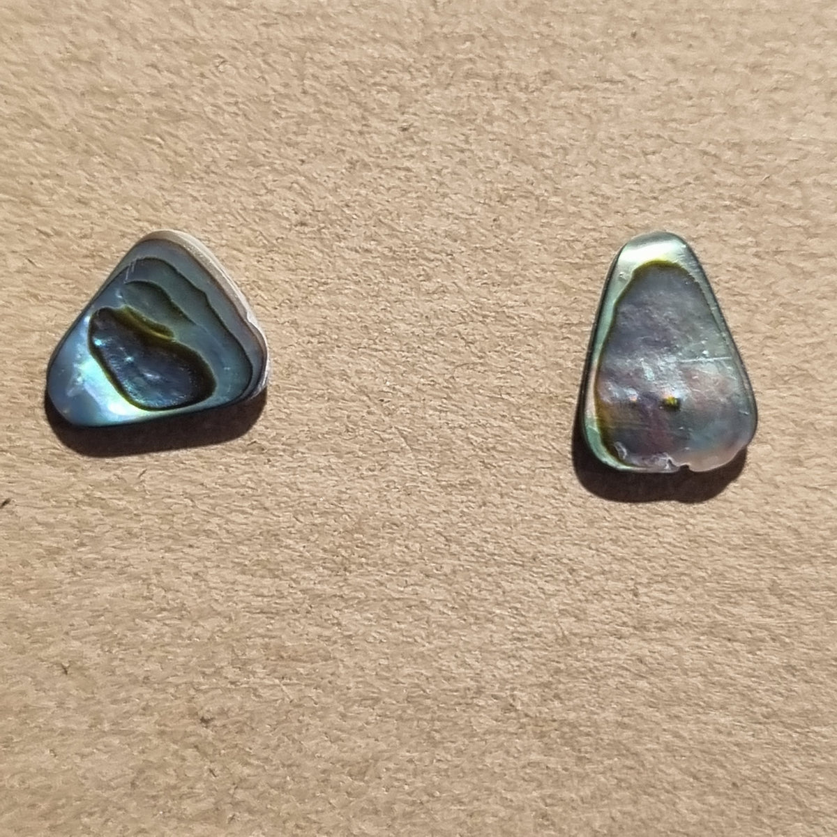 Paua Studs