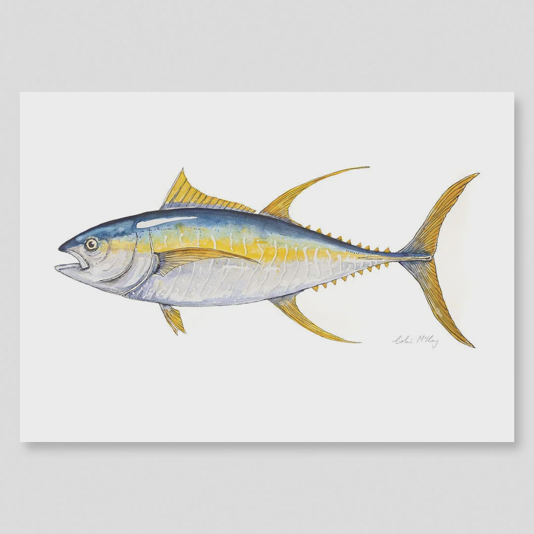 A2 Yellow Fin Tuna  Watercolour Print (Limited Edition 1/50)