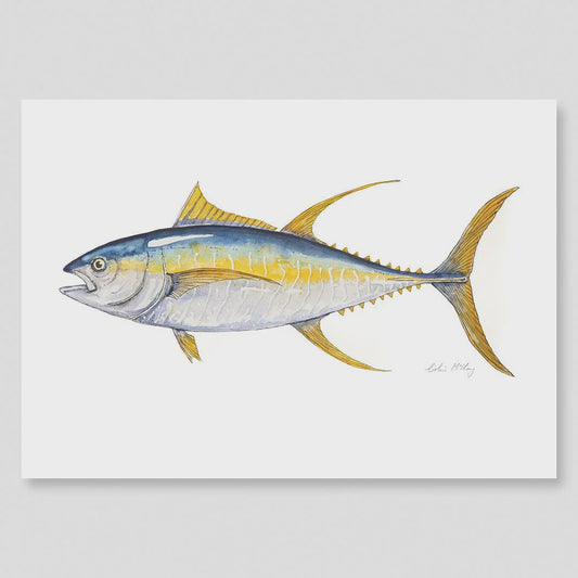 A2 Yellow Fin Tuna  Watercolour Print (Limited Edition 1/50)