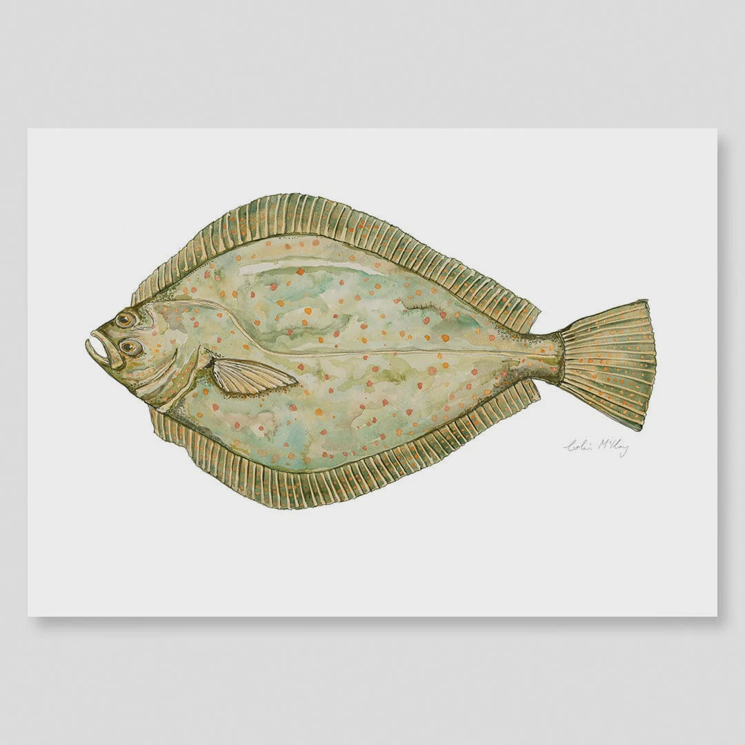 A4 Flounder Watercolour Print
