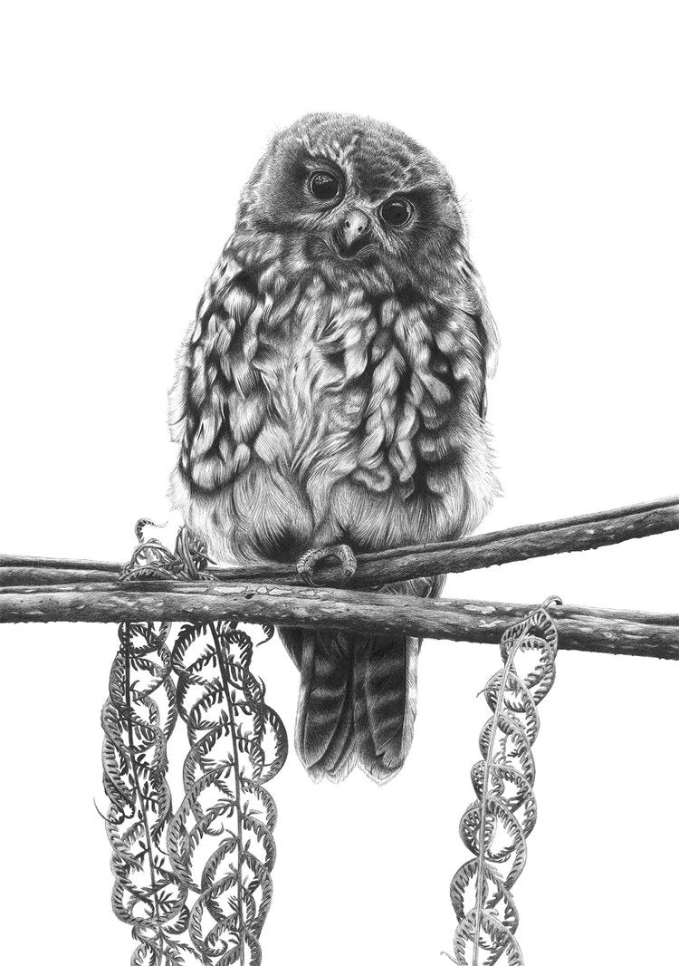 A3 Fluffy Fledgling 23/60