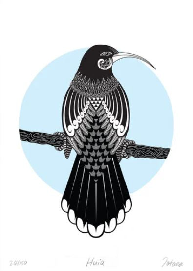 A3 Huia Blue