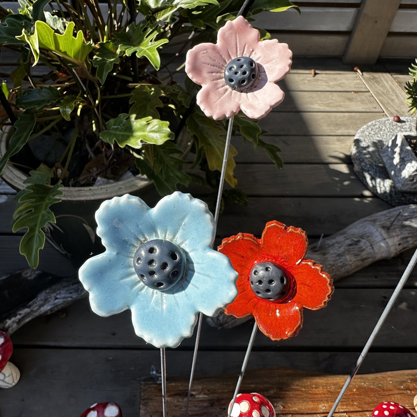 Small Coloured Flowers
