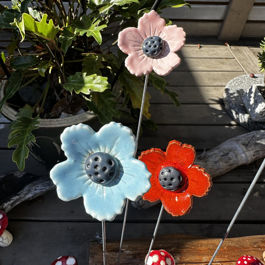 Small Coloured Flowers