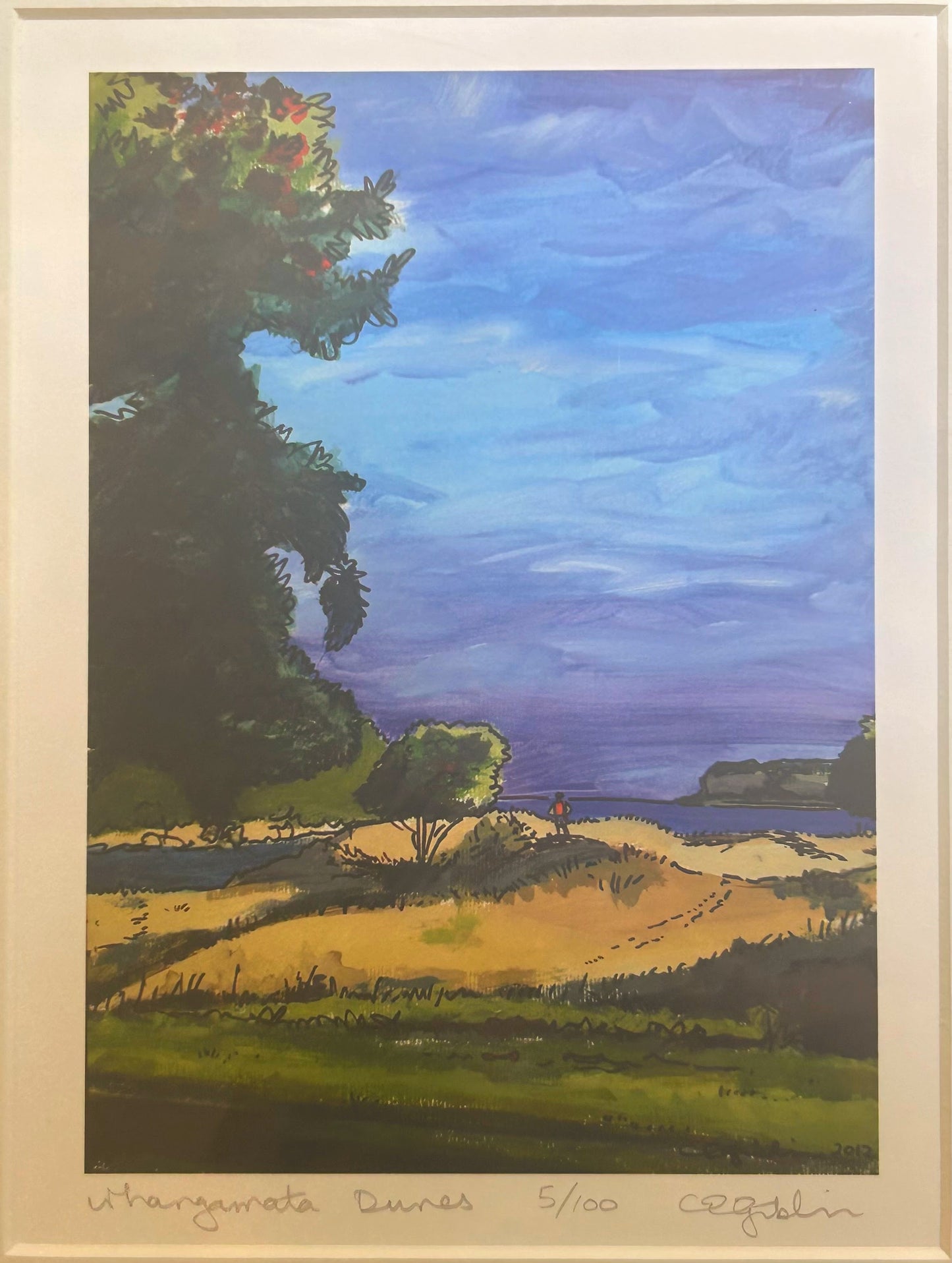 Whangamata Dunes Small
