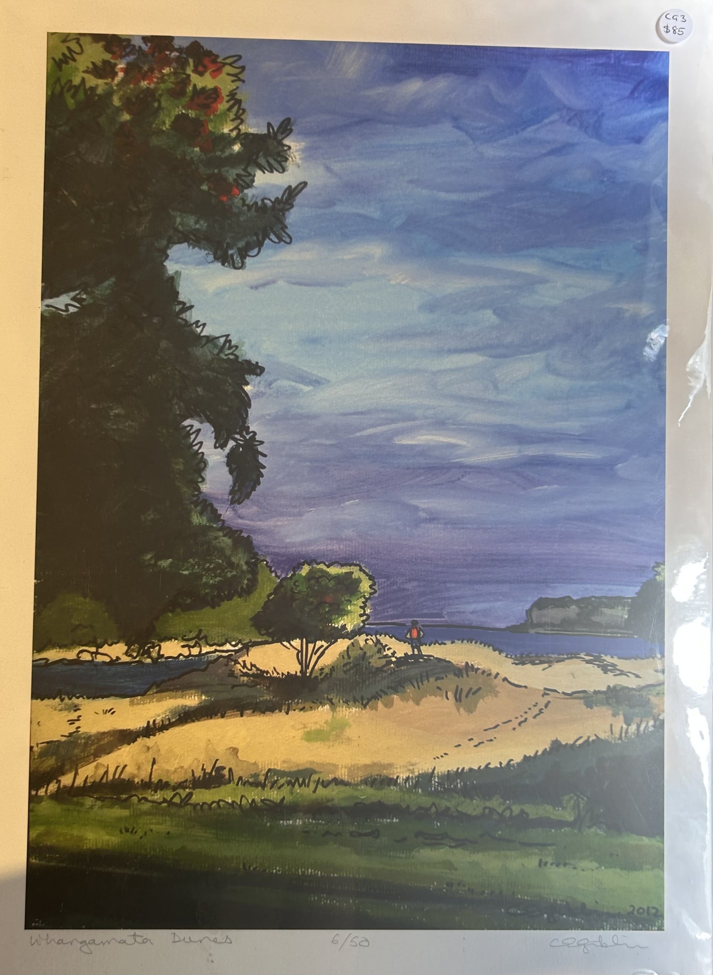 Whangamata Dunes