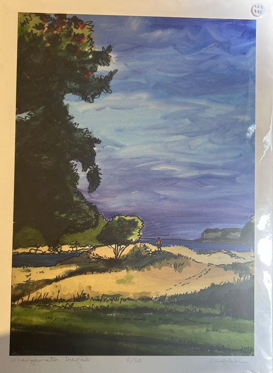Whangamata Dunes