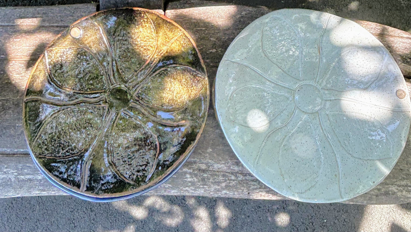 Sand Dollar