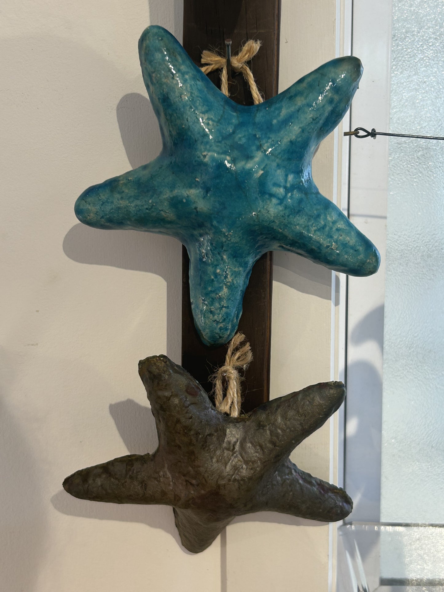 Potty Starfish