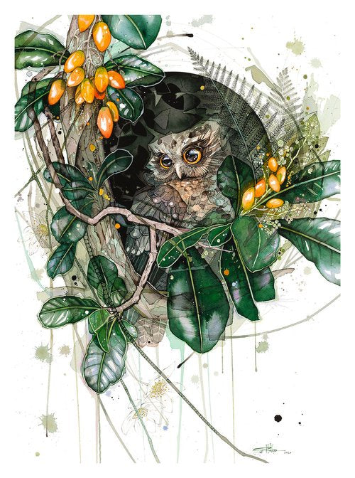 Morepork Karaka