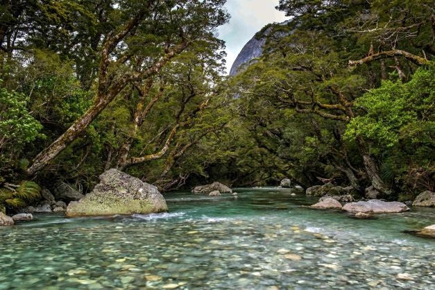 Milford Track